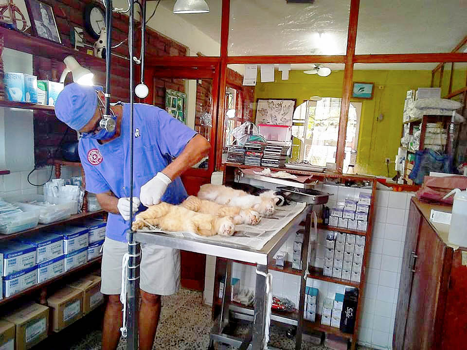 SPAZ sterilization program