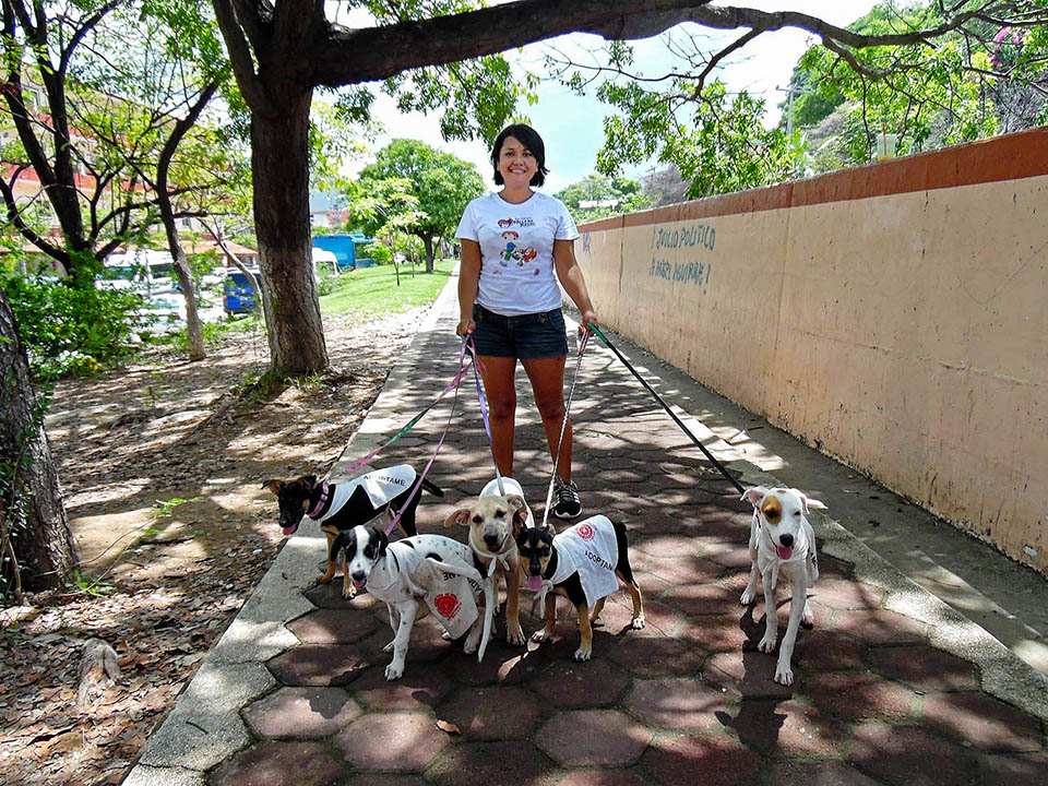 SPAZ volunteer walking dogs
