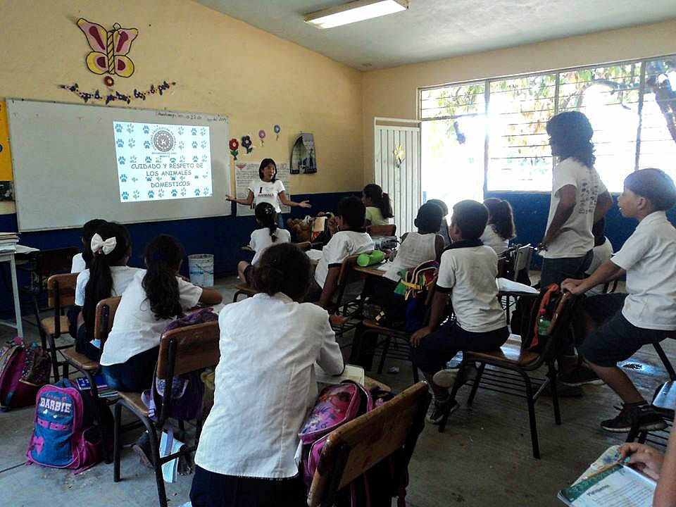 SPAZ in the classroom