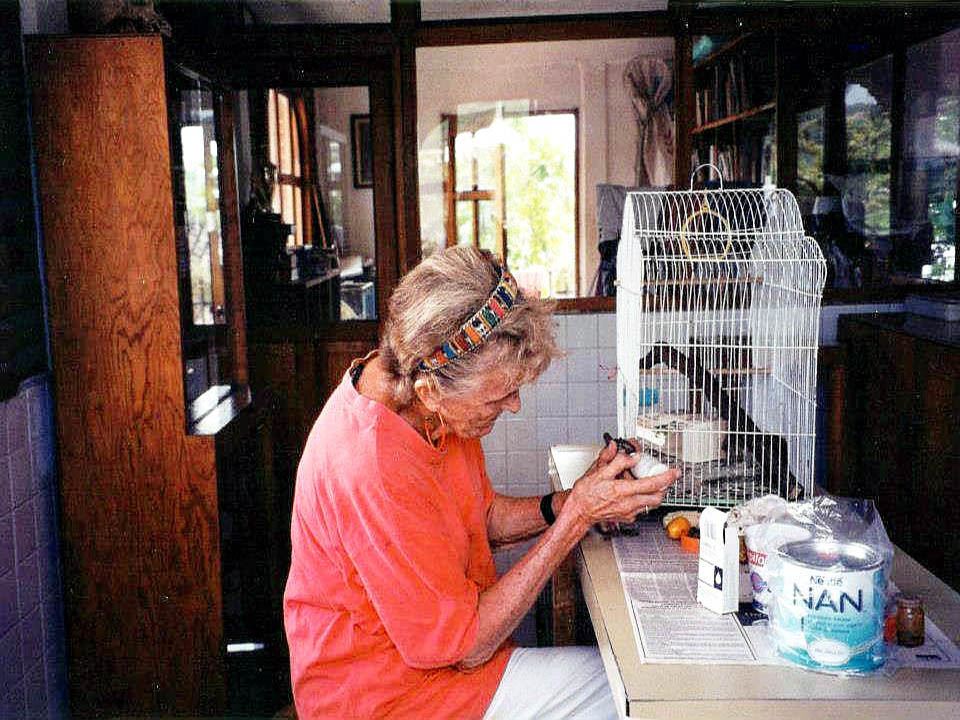 Do&ntilde;a Helene Krebs